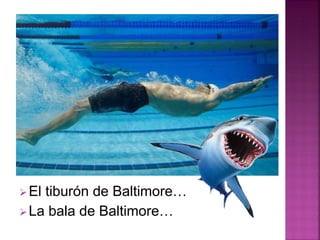 El tiburón de Baltimore…
La bala de Baltimore…
 