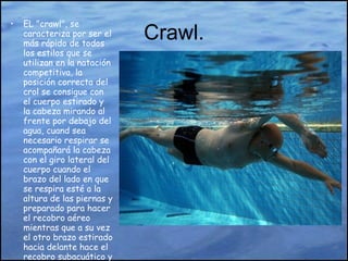 Crawl. EL "crawl", se caracteriza por ser el más rápido de todos los estilos que se utilizan en la natación competitiva, la posición correcta del crol se consigue con el cuerpo estirado y la cabeza mirando al frente por debajo del agua, cuand sea necesario respirar se acompañará la cabeza con el giro lateral del cuerpo cuando el brazo del lado en que se respira esté a la altura de las piernas y preparado para hacer el recobro aéreo mientras que a su vez el otro brazo estirado hacia delante hace el recobro subacuático y la cabeza vuelve a su posición dentro del agua.  
