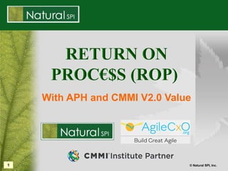 1 © Natural SPI, Inc.
With APH and CMMI V2.0 Value
 