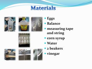  Eggs
 Balance
 measuring tape
and string
 corn syrup
 Water
 2 beakers
 vinegar
 
