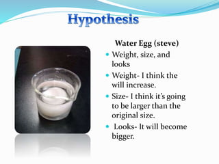Water Egg (steve)
 Weight, size, and
looks
 Weight- I think the
will increase.
 Size- I think it’s going
to be larger than the
original size.
 Looks- It will become
bigger.
 