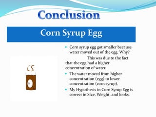 Corn Syrup Egg
 Corn syrup egg got smaller because
water moved out of the egg. Why?
This was due to the fact
that the egg had a higher
concentration of water.
 The water moved from higher
concentration (egg) to lower
concentration (corn syrup).
 My Hypothesis in Corn Syrup Egg is
correct in Size, Weight, and looks.
 