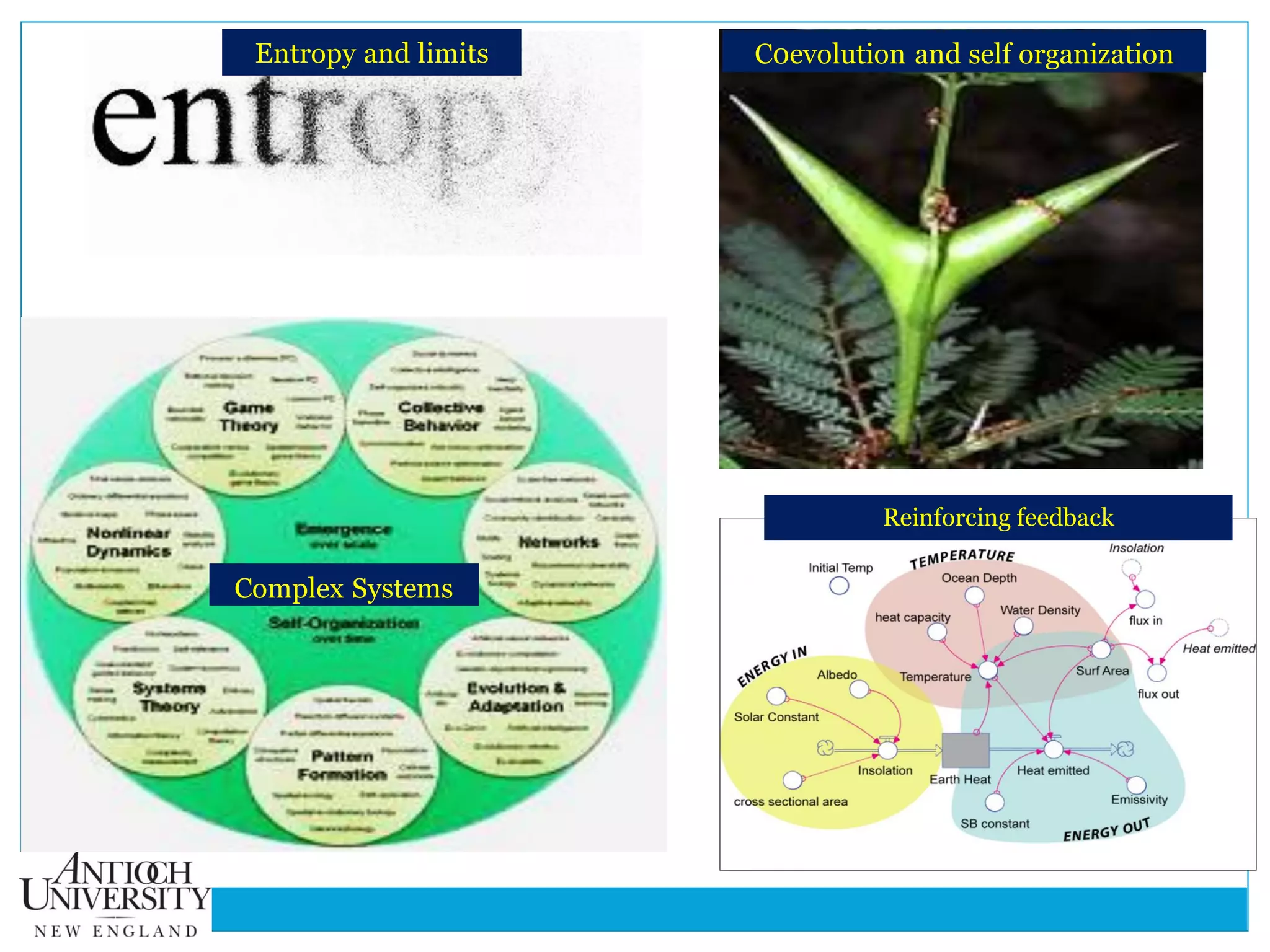 C0evolution and self organization
Complex Systems
Entropy and limits
Reinforcing feedback
 