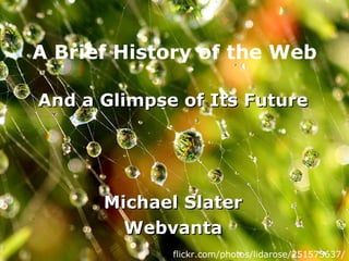 A Brief History of the Web And a Glimpse of Its Future Michael Slater Webvanta flickr.com/photos/lidarose/251573637/ 