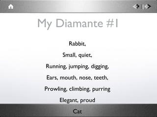 My Diamante #1 Rabbit, Small, quiet, Running, jumping, digging, Ears, mouth, nose, teeth, Prowling, climbing, purring Elegant, proud Cat 
