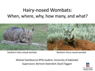 Hairy-nosed Wombats:
When, where, why, how many, and what?
Michael Swinbourne (PhD student, University of Adelaide)
Supervisors: Bertram Ostendorf, David Taggart
Southern hairy-nosed wombat Northern hairy-nosed wombat
 