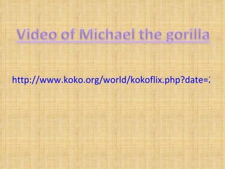 http://www.koko.org/world/kokoflix.php?date=2008-06-24   
