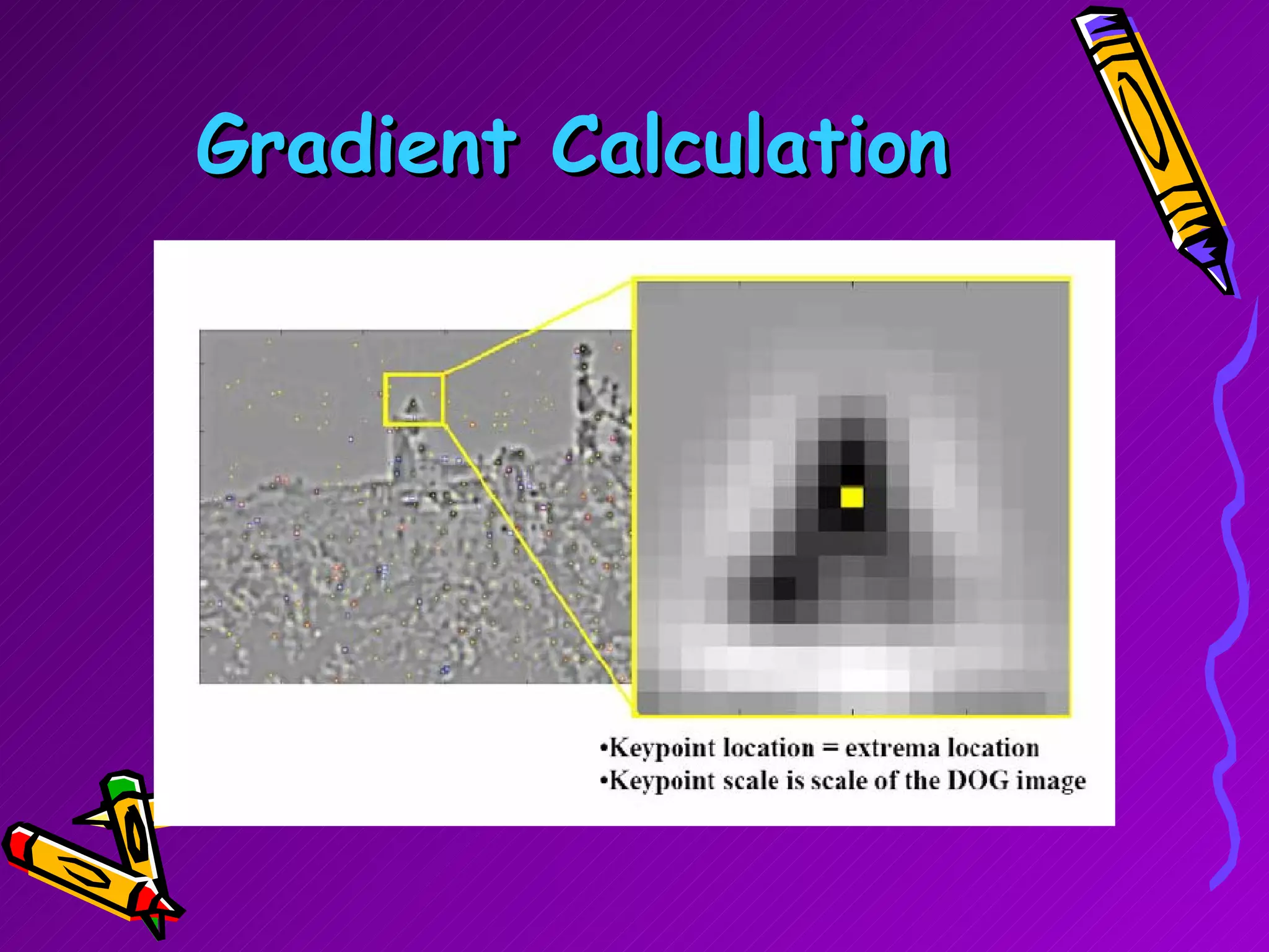 Gradient Calculation 