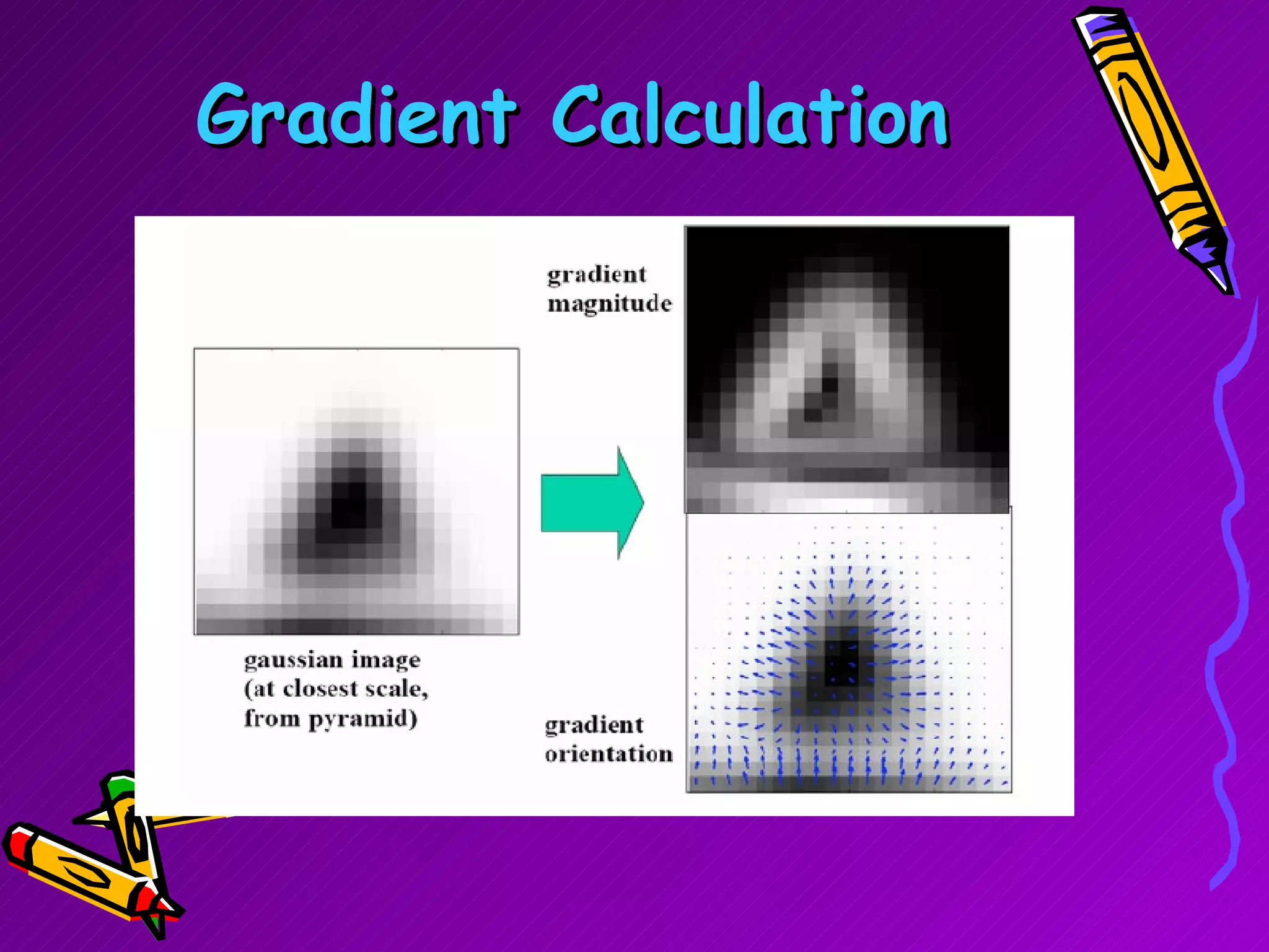 Gradient Calculation 