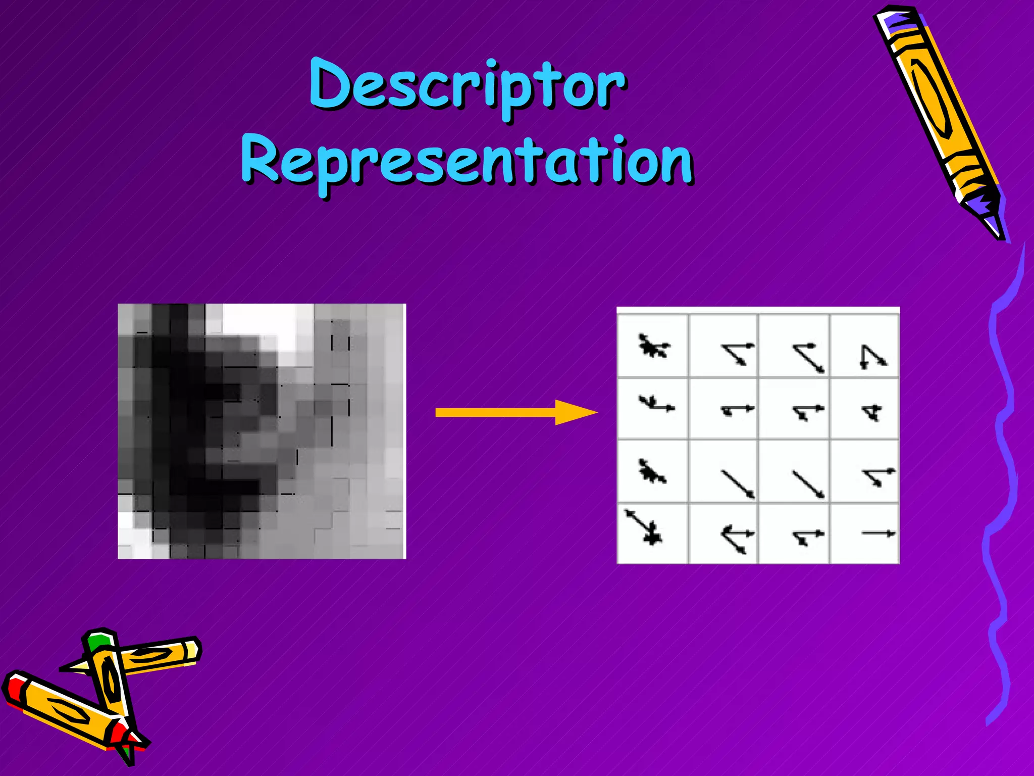 Descriptor Representation 