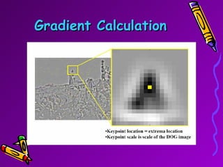 Gradient Calculation 