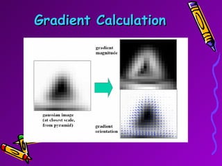 Gradient Calculation 