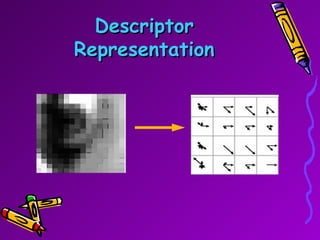 Descriptor Representation 