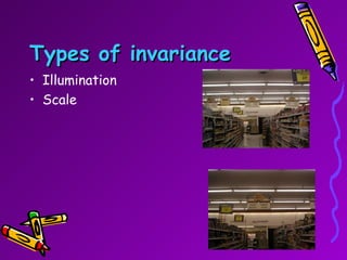 Types of invariance Illumination Scale 