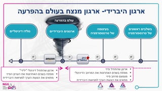 ‫בהפרעה‬ ‫עולם‬
‫ראשונים‬ ‫בשלבים‬
‫טרנספורמציה‬ ‫של‬
‫בעיצומה‬
‫טרנספורמציה‬ ‫של‬
‫דיגיטליים‬ ‫נולדו‬ ‫היברידיים‬ ‫ארגונים‬
‫פיזי‬ ‫שהתחיל‬ ‫ארגון‬
‫הדיגיטלי‬ ‫המרחב‬ ‫את‬ ‫האחרונות‬ ‫בשנים‬ ‫מפתח‬
‫פיזי‬ ‫מרחב‬ ‫מצמצם‬
‫היברידית‬ ‫למציאות‬ ‫הערך‬ ‫הצעות‬ ‫את‬ ‫מתאים‬
‫דיגיטלי‬ ‫שהתחיל‬ ‫ארגון‬"‫ילידי‬"
‫הפיזי‬ ‫הערוץ‬ ‫את‬ ‫האחרונות‬ ‫בשנים‬ ‫מפתח‬
‫היברידית‬ ‫למציאות‬ ‫הערך‬ ‫הצעות‬ ‫את‬ ‫מתאים‬
‫היברידי‬ ‫ארגון‬-‫בהפרעה‬ ‫בעולם‬ ‫מנצח‬ ‫ארגון‬
 