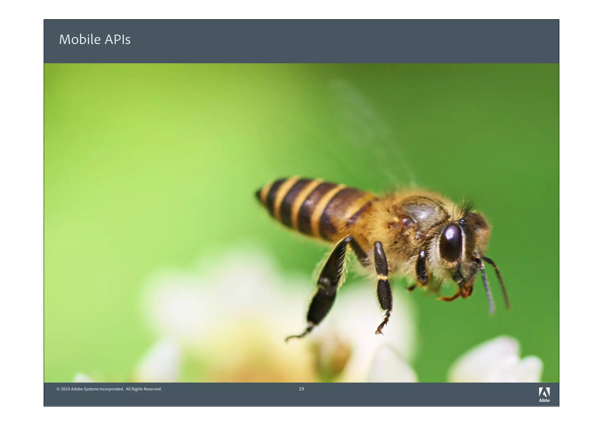 Mobile APIs




© 2010 Adobe Systems Incorporated. All Rights Reserved.   19
 