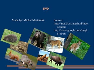END

Made by: Michał Masternak

Source:
http://arus24.w.interia.pl/inde
x2.html
http://www.google.com/imgh
p?hl=pl

 