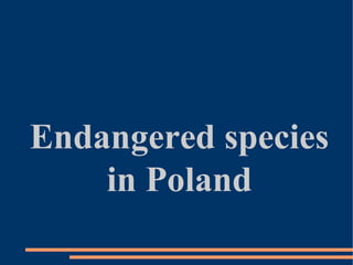 Endangered species
in Poland

 