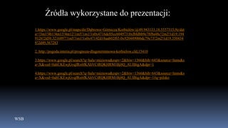 WSB
Źródła wykorzystane do prezentacji:
1.https://www.google.pl/maps/dir/Dąbrowa+Górnicza/Korbielów/@49.943133,18.5557315,9z/dat
a=!3m1!4b1!4m13!4m12!1m5!1m1!1s0x4716dc05cc604973:0xfbfdbb9e78f8a48c!2m2!1d19.194
9126!2d50.3216897!1m5!1m1!1s0x47142d18aab02f65:0x9204490bbdc79e73!2m2!1d19.350434
8!2d49.567283
2. http://pogoda.interia.pl/prognoza-dlugoterminowa-korbielow,cId,15410
3.https://www.google.pl/search?q=hala+miziowa&espv=2&biw=1366&bih=643&source=lnms&s
a=X&ved=0ahUKEwjGvqfRx6fKAhVCtRQKHRM1Bj8Q_AUIBigA&dpr=1
4.https://www.google.pl/search?q=hala+miziowa&espv=2&biw=1366&bih=643&source=lnms&s
a=X&ved=0ahUKEwjGvqfRx6fKAhVCtRQKHRM1Bj8Q_AUIBigA&dpr=1#q=pilsko
 