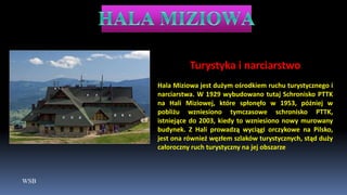 WSB
Turystyka i narciarstwo
Hala Miziowa jest dużym ośrodkiem ruchu turystycznego i
narciarstwa. W 1929 wybudowano tutaj Schronisko PTTK
na Hali Miziowej, które spłonęło w 1953, później w
pobliżu wzniesiono tymczasowe schronisko PTTK,
istniejące do 2003, kiedy to wzniesiono nowy murowany
budynek. Z Hali prowadzą wyciągi orczykowe na Pilsko,
jest ona również węzłem szlaków turystycznych, stąd duży
całoroczny ruch turystyczny na jej obszarze
 
