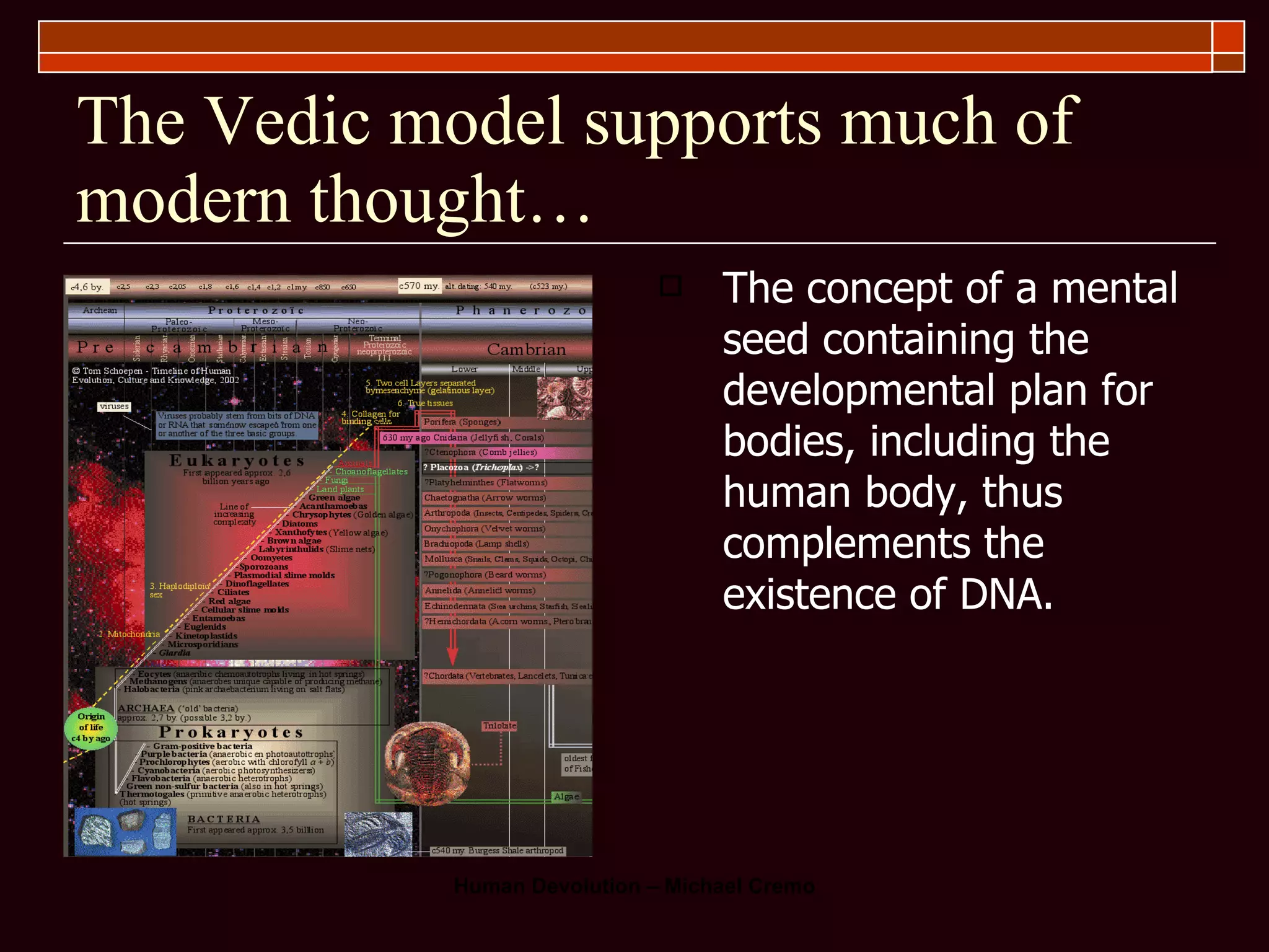The Vedic model supports much of modern thought… The concept of a mental seed containing the developmental plan for bodies, including the human body, thus complements the existence of DNA. 