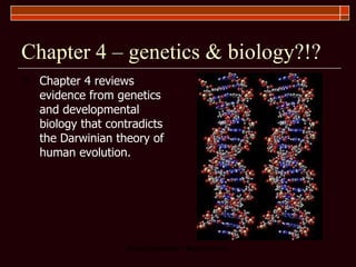 Chapter 4 – genetics & biology?!? Chapter 4 reviews evidence from genetics and developmental biology that contradicts the Darwinian theory of human evolution.  