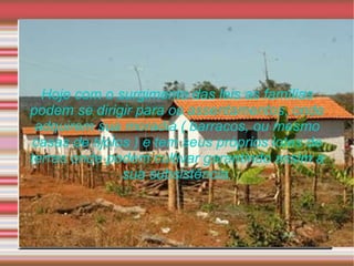 Hoje com o surgimento das leis as famílias podem se dirigir para os assentamentos, onde adquirem sua moradia ( barracos, ou mesmo casas de tijolos ) e tem seus próprios lotes de terras onde podem cultivar garantindo assim a sua subsistência. 