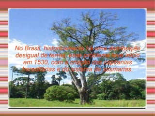 No Brasil, historicamente há uma distribuição desigual de terras, esse problema teve início em 1530, com a criação das capitanias hereditárias e do sistema de sesmarias. 