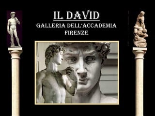 IL DAVID
GALLerIA DeLL’AccADemIA
FIrenze
 