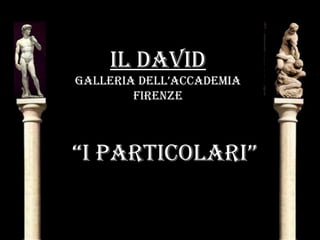 IL DAVID
GALLerIA DeLL’AccADemIA
FIrenze
“I pArtIcoLArI”
 