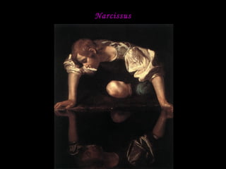 Narcissus 