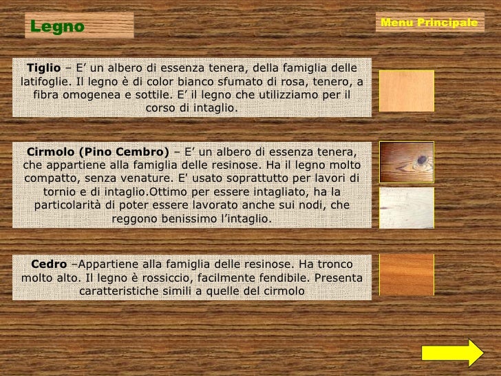 Un Albero Dal Legno Tenero E Rossiccio pooaniela