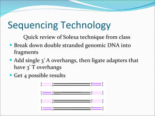Sequencing Technology <ul><li>Quick review of Solexa technique from class  </li></ul><ul><li>Break down double stranded ge...