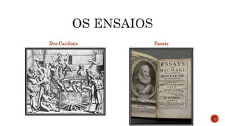 Dos Canibais Essais
3
 