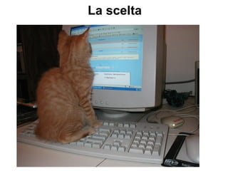 La scelta
 