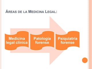 Áreas de la Medicina Legal: