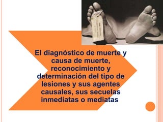 El diagnóstico de muerte y causa de muerte, reconocimiento y determinación del tipo de lesiones y sus agentes causales, sus secuelas inmediatas o mediatas.