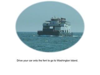 Drive your car onto the ferri to go to Washington Island. 