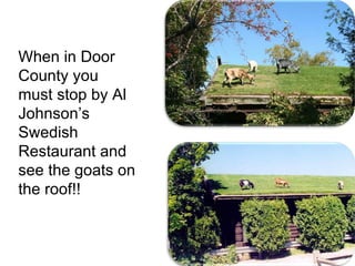 When in Door County you must stop by Al Johnson’s Swedish Restaurant and see the goats on the roof!! 