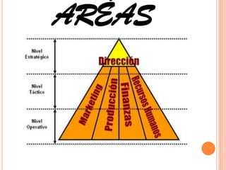 ARÉAS