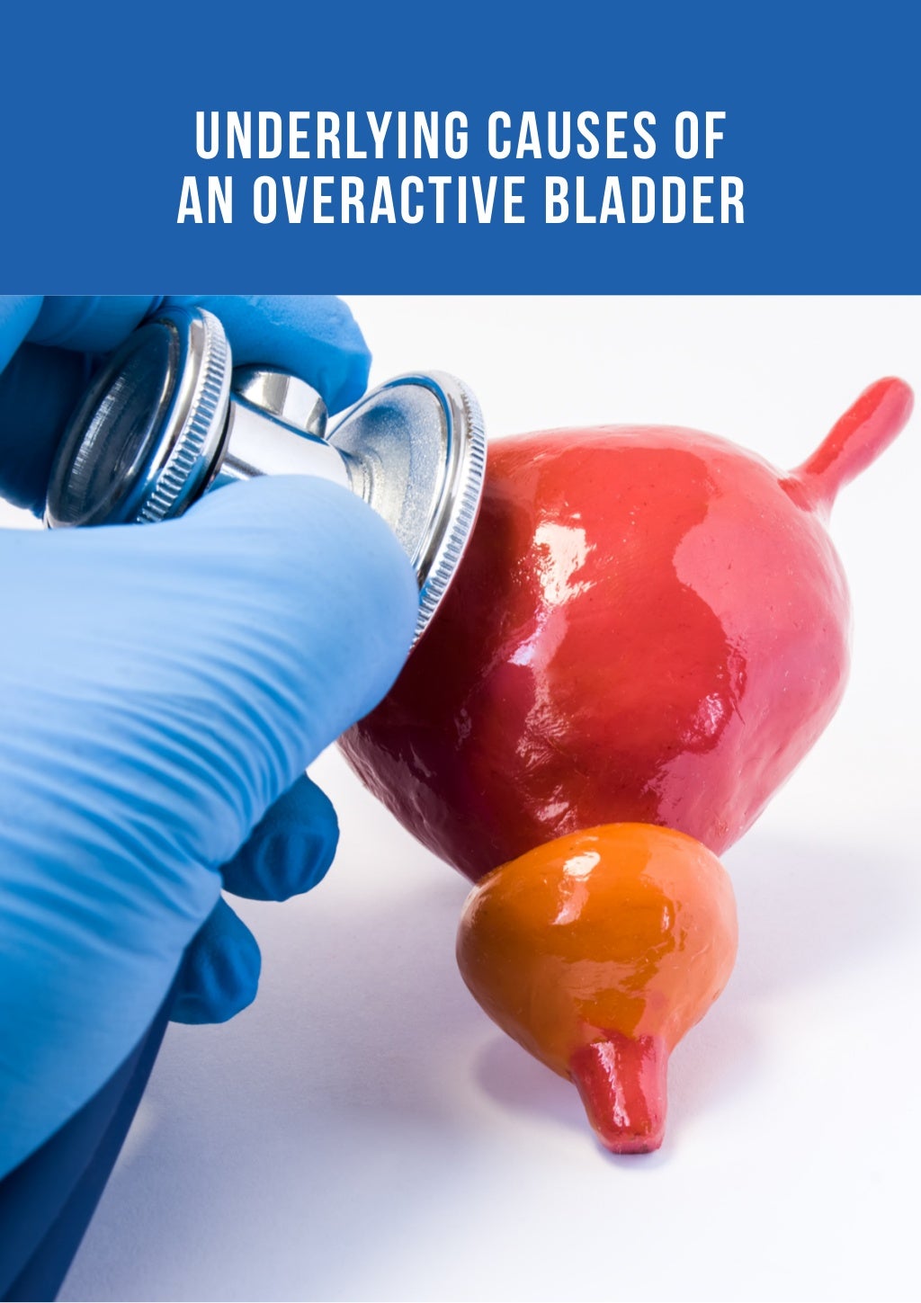 Underlying Causes of an Overactive Bladder