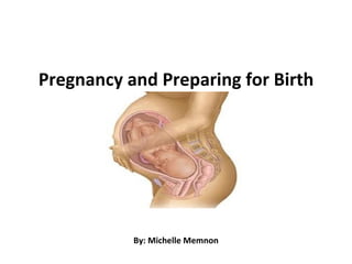 Pregnancy and Preparing for Birth




           By: Michelle Memnon
 