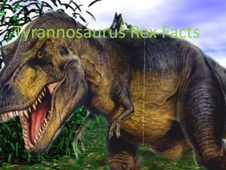 Tyrannosaurus Rex Facts
Tyrannosaurus Rex
 