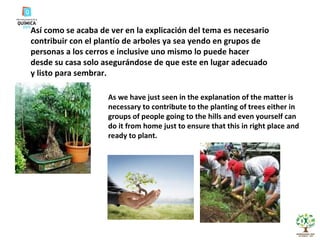 Así como se acaba de ver en la explicación del tema es necesario contribuir con el plantío de arboles ya sea yendo en grupos de personas a los cerros e inclusive uno mismo lo puede hacer desde su casa solo asegurándose de que este en lugar adecuado y listo para sembrar. As we have just seen in the explanation of the matter is necessary to contribute to the planting of trees either in groups of people going to the hills and even yourself can do it from home just to ensure that this in right place and ready to plant. 