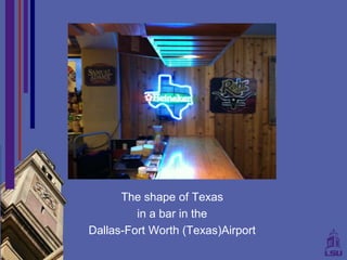 The shape of Texas
         in a bar in the
Dallas-Fort Worth (Texas)Airport
 
