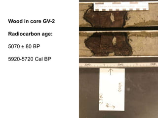 Wood in core GV-2

Radiocarbon age:

5070 ± 80 BP

5920-5720 Cal BP
 