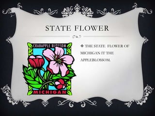 STATE FLOWER
 THE STATE FLOWER OF
MICHIGAN IT THE
APPLEBLOSSOM.
 