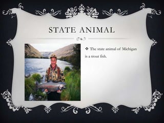 STATE ANIMAL
 The state animal of Michigan
is a trout fish.
 
