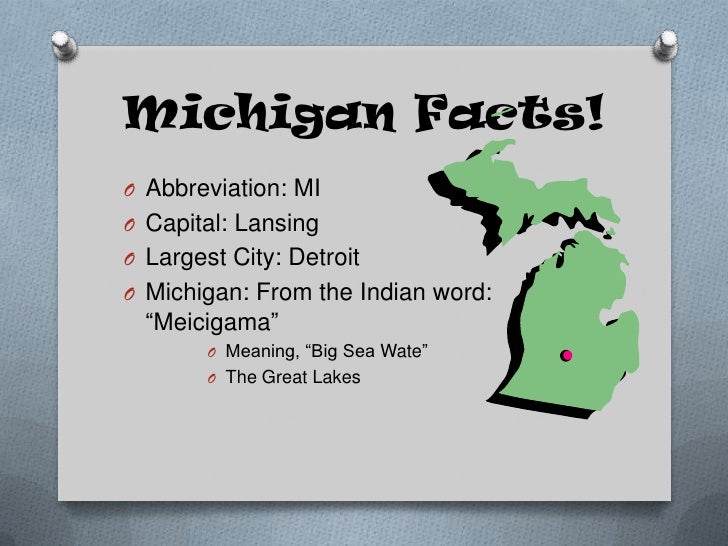 Third Grade Michigan Studies