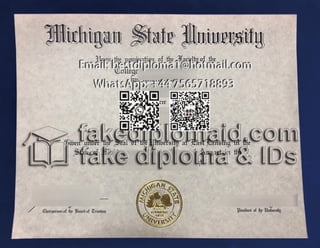 fake Michigan State University diploma